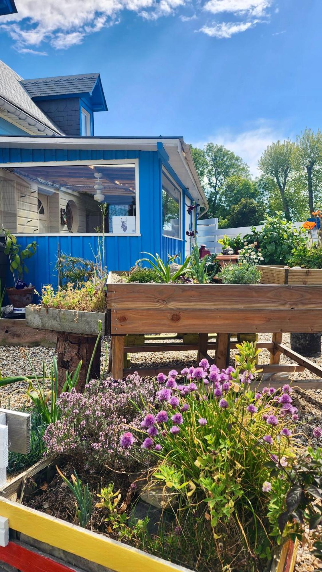 La Petite Maison En Bois Bleue Quiberville Eksteriør billede
